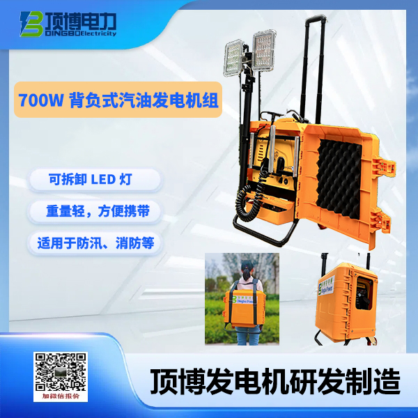 700w背负式汽油发电机组